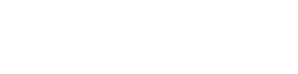 BRANDIO AI